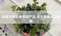 百度开放云推多款产品 含大数据人工智能