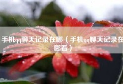 手机qq聊天记录在哪（手机qq聊天记录在哪看）