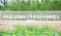 手机店以旧换新（手机店以旧换新怎么换的）
