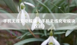 手机无线充电模块（手机无线充电模块改装）