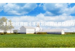 手机如何消磁（手机如何消磁最快的方法）