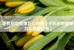 手机拍照镜像怎么调整（手机拍照镜像怎么调整过来）