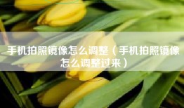 手机拍照镜像怎么调整（手机拍照镜像怎么调整过来）
