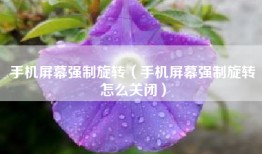 手机屏幕强制旋转（手机屏幕强制旋转怎么关闭）