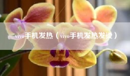 vivo手机发热（vivo手机发热发烫）
