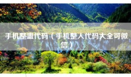 手机整蛊代码（手机整人代码大全可微信）