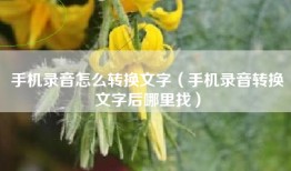 手机录音怎么转换文字（手机录音转换文字后哪里找）