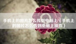 手机上的图片怎么传到电脑上（手机上的图片怎么传到电脑上操作）