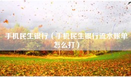 手机民生银行（手机民生银行流水账单怎么打）
