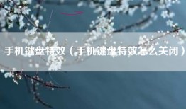 手机键盘特效（手机键盘特效怎么关闭）