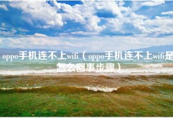oppo手机连不上wifi（oppo手机连不上wifi是怎么回事步骤）