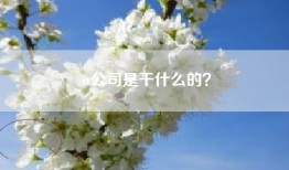 it公司是干什么的？