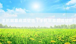 手机屏幕高清壁纸（手机屏幕超清壁纸）