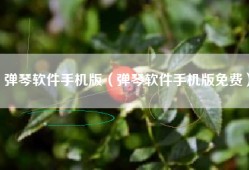 弹琴软件手机版（弹琴软件手机版免费）