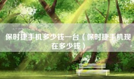 保时捷手机多少钱一台（保时捷手机现在多少钱）