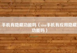 手机有隐藏功能吗（vivo手机有应用隐藏功能吗）