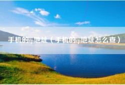 手机的ip地址（手机的ip地址怎么查）