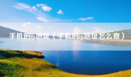 手机的ip地址（手机的ip地址怎么查）