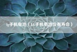 lg手机电池（LG手机电池没有寿命）