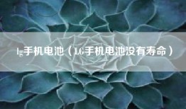 lg手机电池（LG手机电池没有寿命）