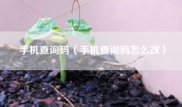 手机查询码（手机查询码怎么改）