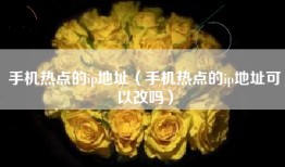 手机热点的ip地址（手机热点的ip地址可以改吗）