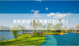 手机很花（手机很花怎么办）