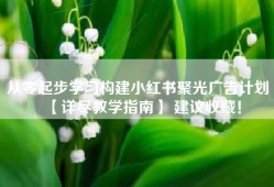 从零起步学习构建小红书聚光广告计划 【详尽教学指南】 建议收藏！