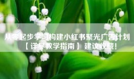 从零起步学习构建小红书聚光广告计划 【详尽教学指南】 建议收藏！