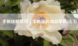 手机挂机项目（手机挂机项目单机5左右）