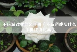 不玩游戏买什么手机（不玩游戏买什么手机性价比高）