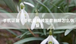 手机证据（手机证据被警察删除怎么恢复）