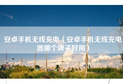 安卓手机无线充电（安卓手机无线充电器哪个牌子好用）