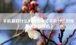 手机最好什么时候充电（手机什么时候充电最佳时机）