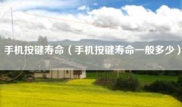 手机按键寿命（手机按键寿命一般多少）