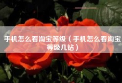 手机怎么看淘宝等级（手机怎么看淘宝等级几钻）