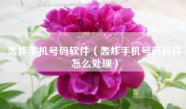 轰炸手机号码软件（轰炸手机号码软件怎么处理）