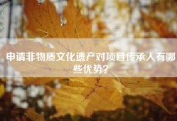 申请非物质文化遗产对项目传承人有哪些优势？