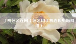 手机怎么连网（怎么用手机连接电脑网络）