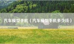 汽车模型手机（汽车模型手机多少钱）