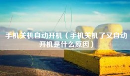 手机关机自动开机（手机关机了又自动开机是什么原因）