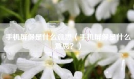 手机屏保是什么意思（手机屏保是什么意思？）