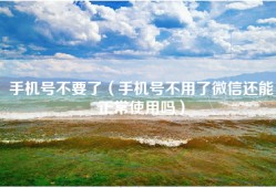 手机号不要了（手机号不用了微信还能正常使用吗）