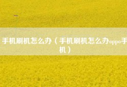 手机刷机怎么办（手机刷机怎么办oppo手机）