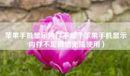 苹果手机显示内存不足（苹果手机显示内存不足微信无法使用）