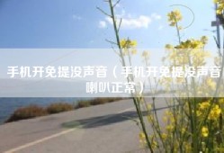 手机开免提没声音（手机开免提没声音喇叭正常）