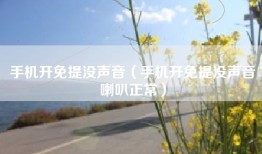 手机开免提没声音（手机开免提没声音喇叭正常）