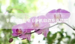 手机自动充电（手机自动充电功能）