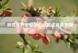 微信里的定位怎么设置成高德地图