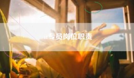 it专员岗位职责